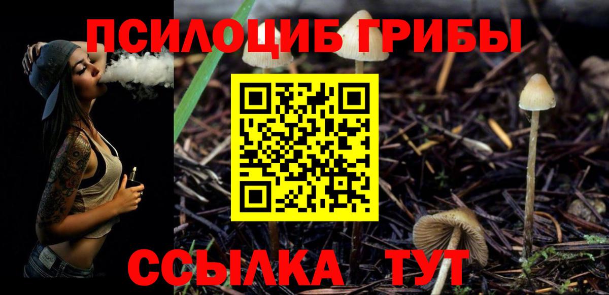 Галлюциногенные грибы ЛСД Каменск-Шахтинский