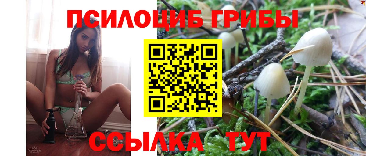 Каменск-Шахтинский  Галлюциногенные грибы Psilocybe  Вход с VPN 